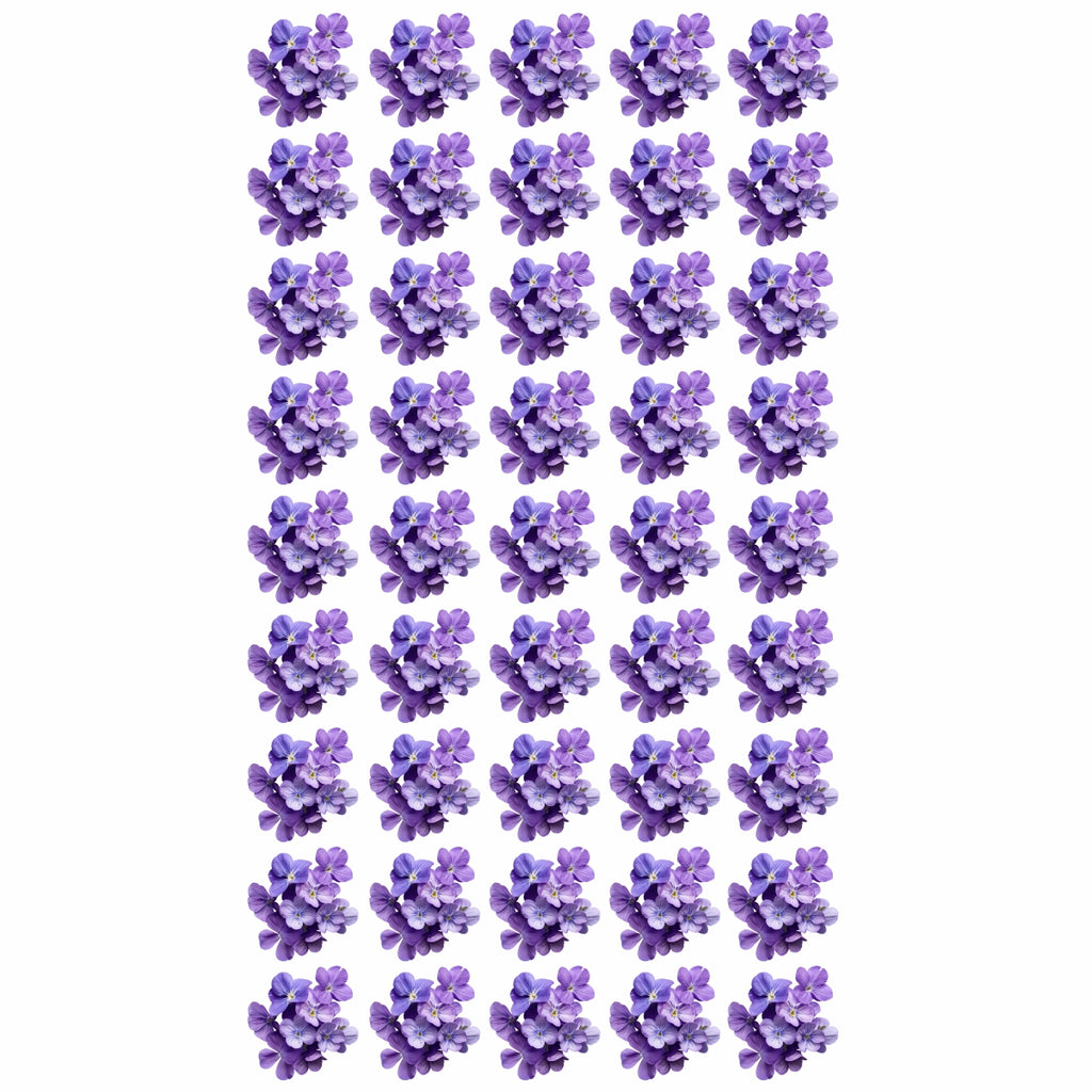 DTF PRINT D | 0016