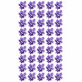 DTF PRINT D | 0016