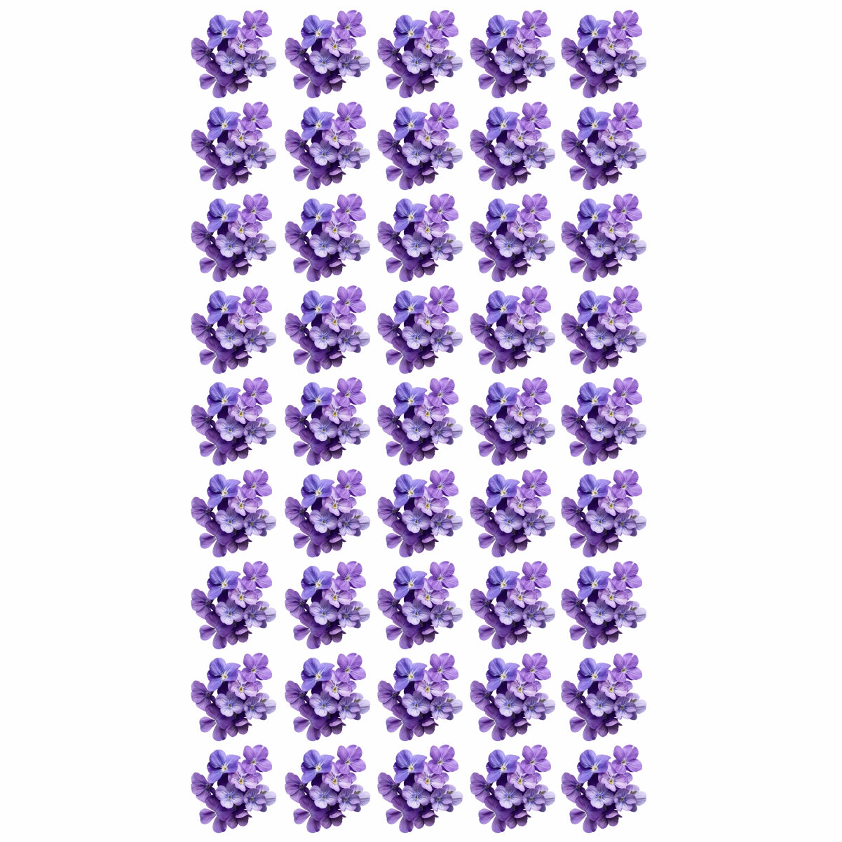 DTF PRINT D | 0016
